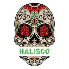 Halisco logo